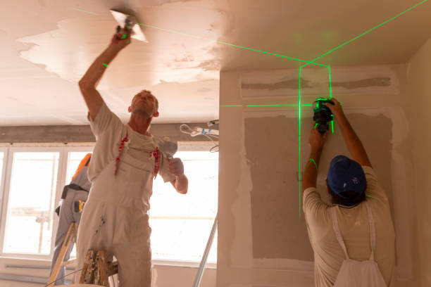 Best Ceiling Drywall Installation  in London, KY